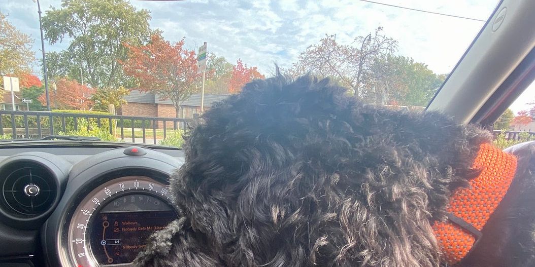 Letter #30 from a Learn-it-all