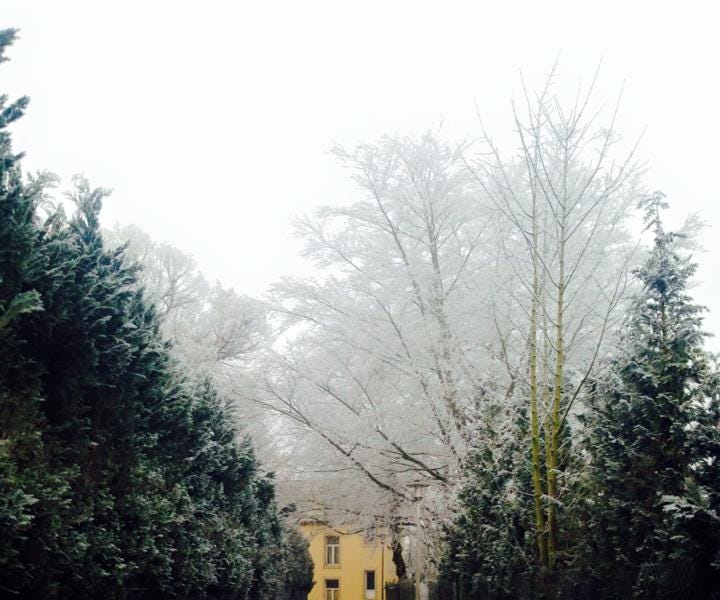 🌟 Letter 44 from a learn-it-all 🌟