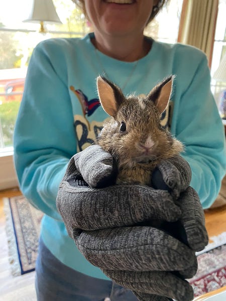 Letter #4 from a Learn-it-all