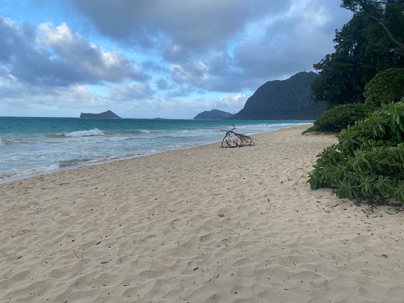 ☮️ Letter 105: I am a Groupie