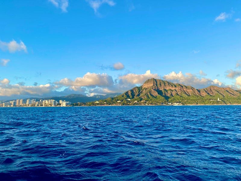 ✏️ Letter 95: My 2021 Annual Review