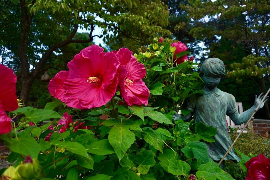 ❓Letter 121: Eight reflective questions from eight newsletters worth reading