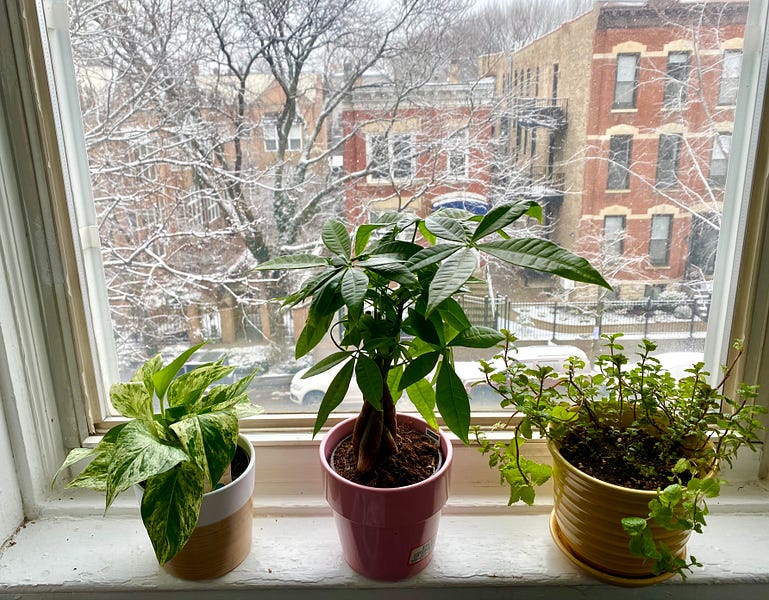 🌟 Letter 43 from a learn-it-all 🌟