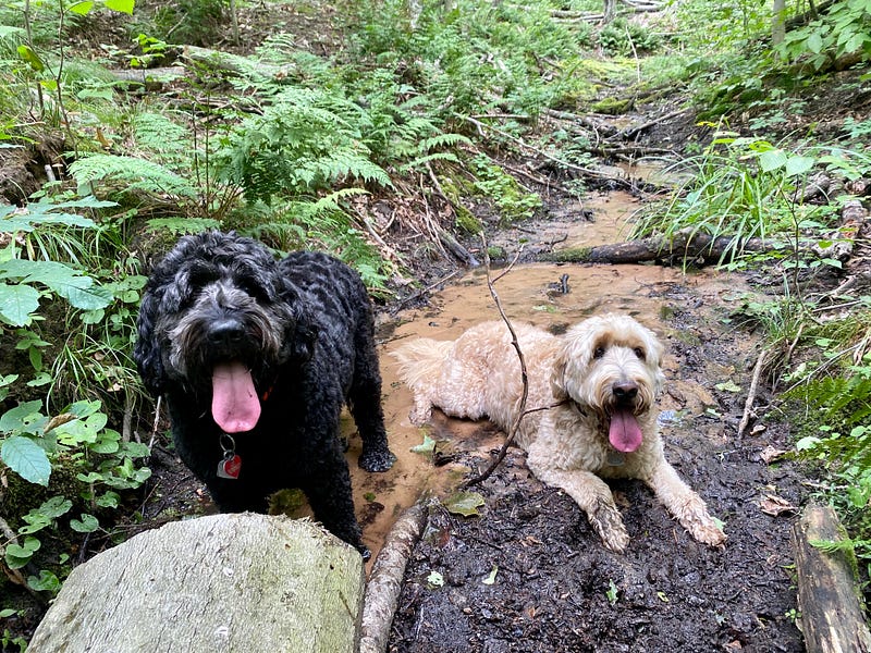 Letter #24 from a Learn-it-all