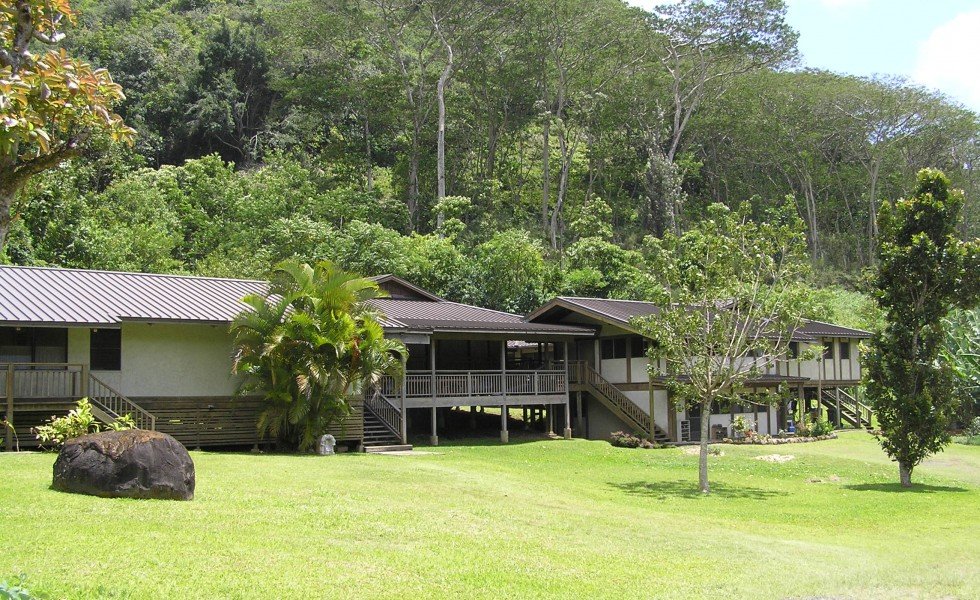 The Art of Pausing in a Busy World