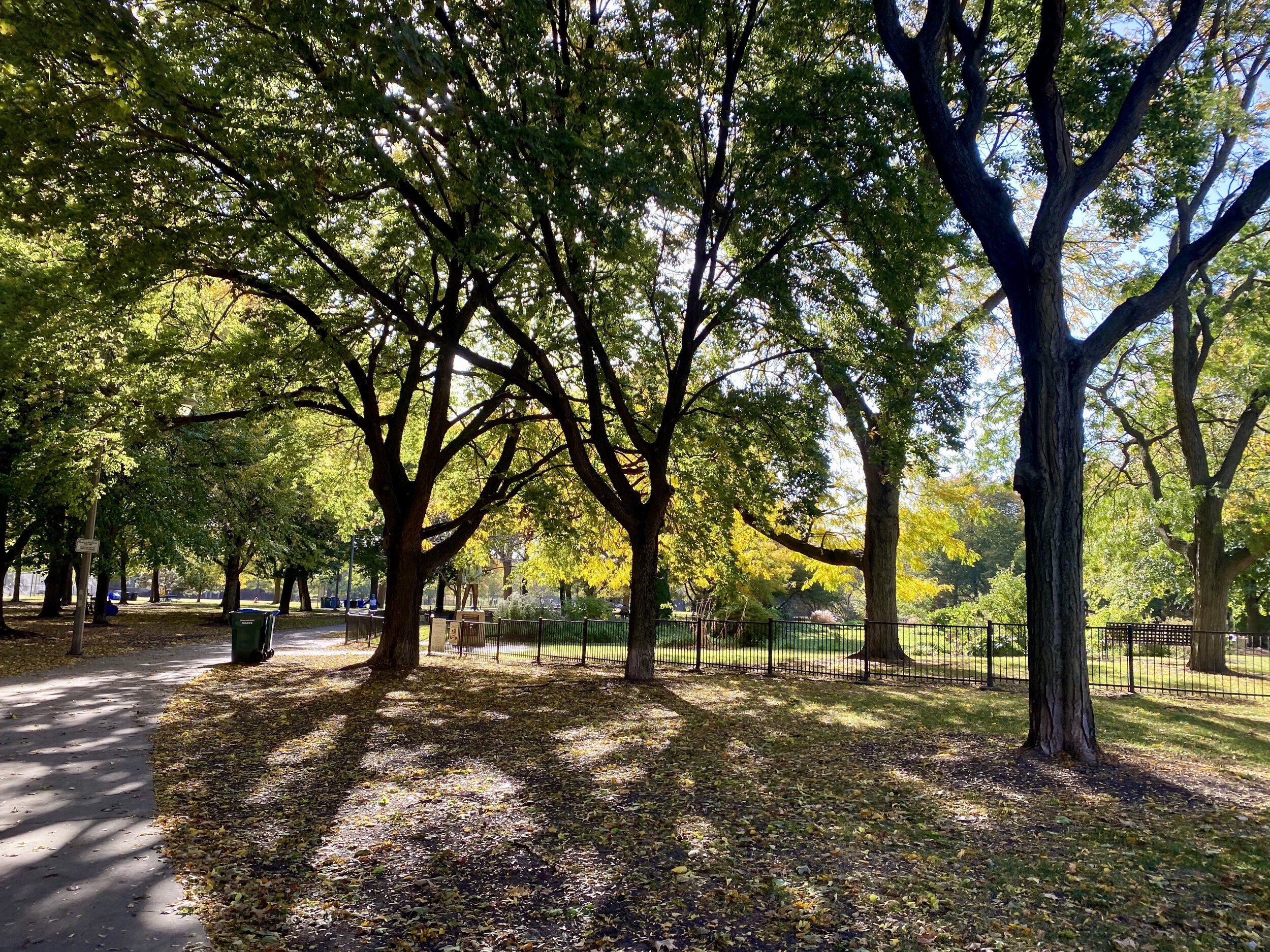My favorite place to think thoughts in Oz Park.